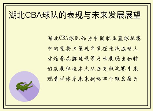 湖北CBA球队的表现与未来发展展望