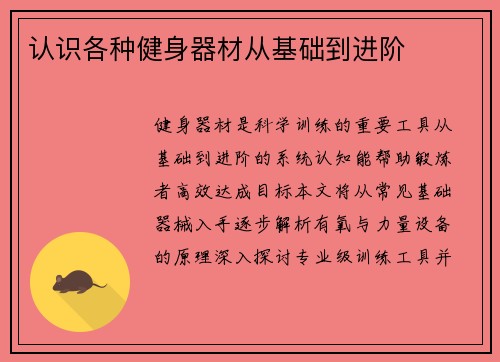 认识各种健身器材从基础到进阶